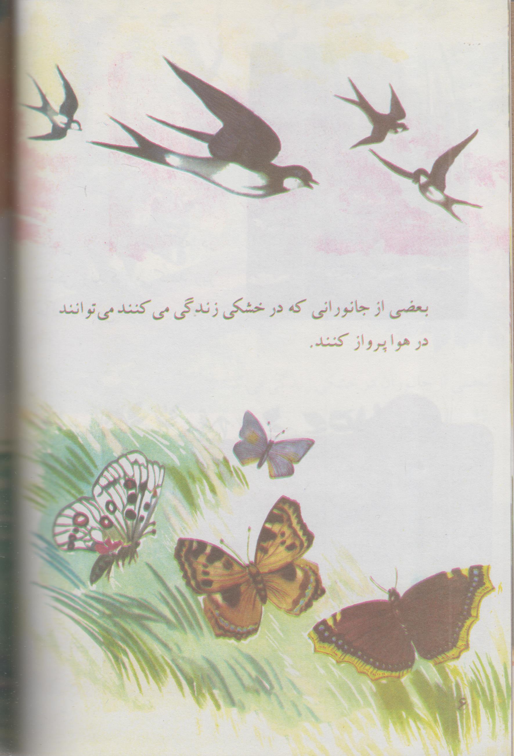 کتاب علوم دوم دبستان قدیم